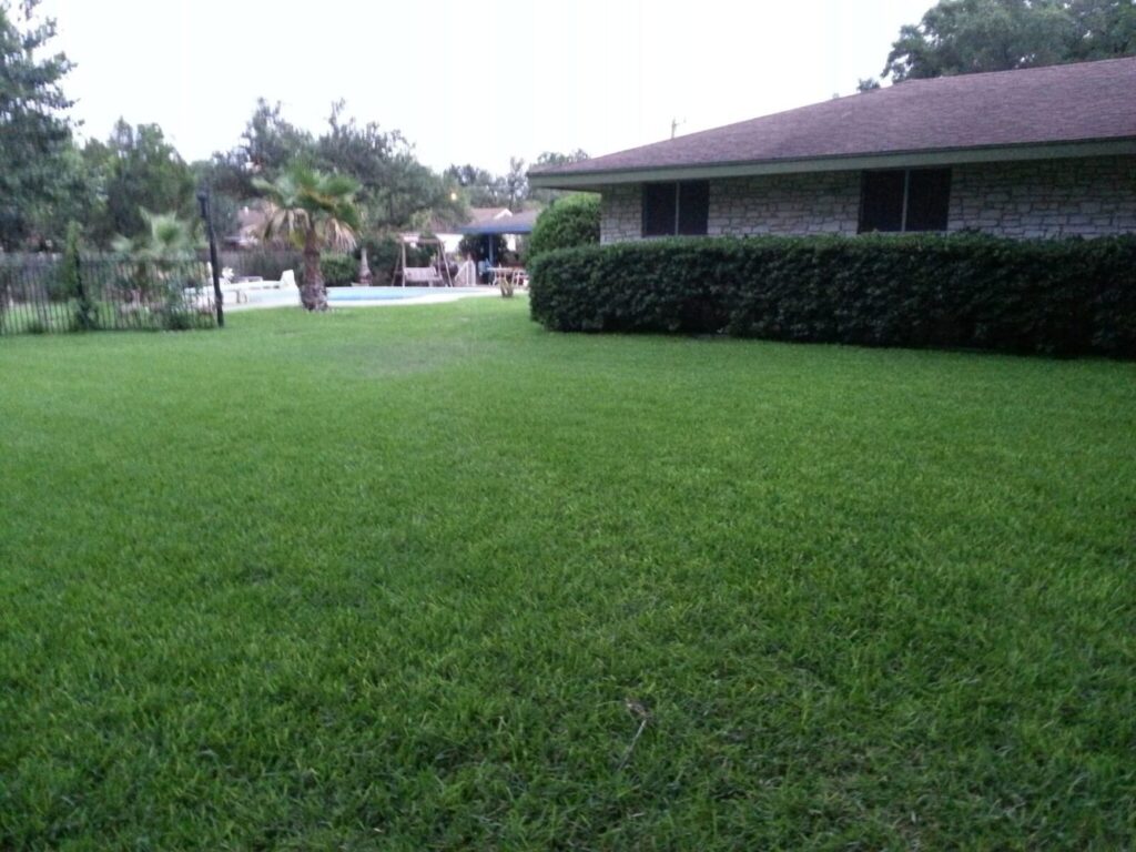 Irrigation System Repair to Keep Your Lawn Green